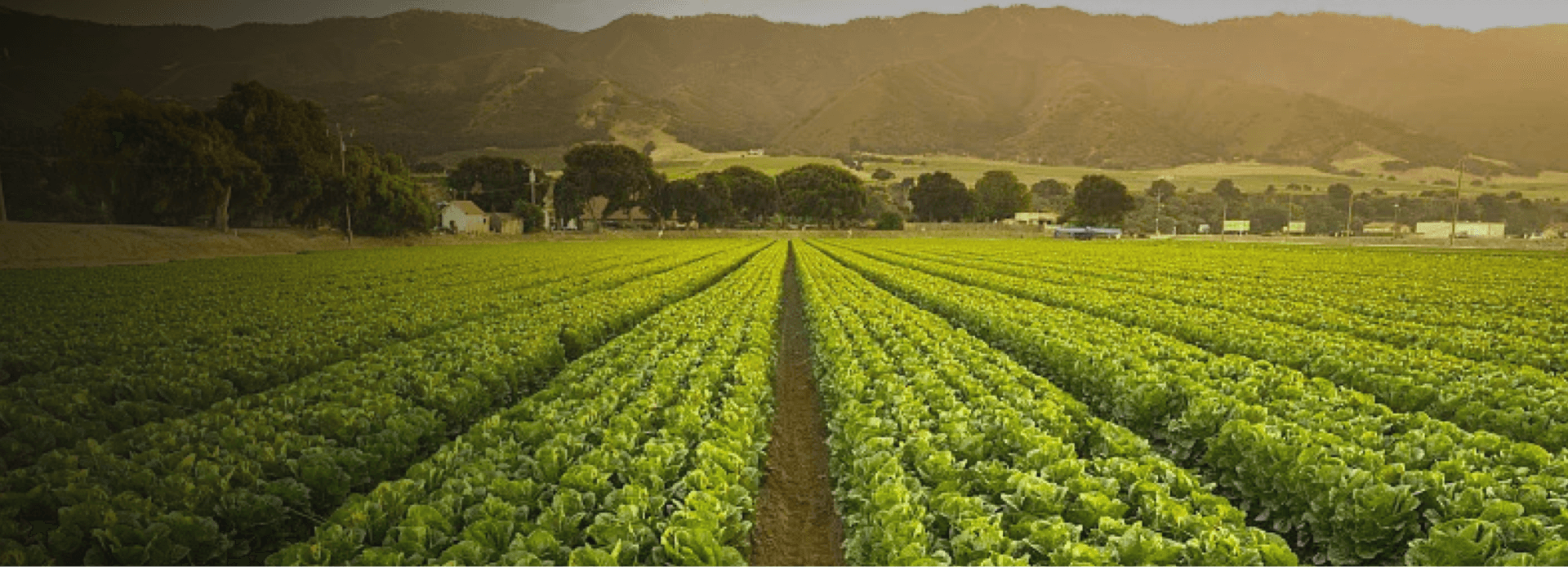 海博网·hibet(中国区)最权威评测网